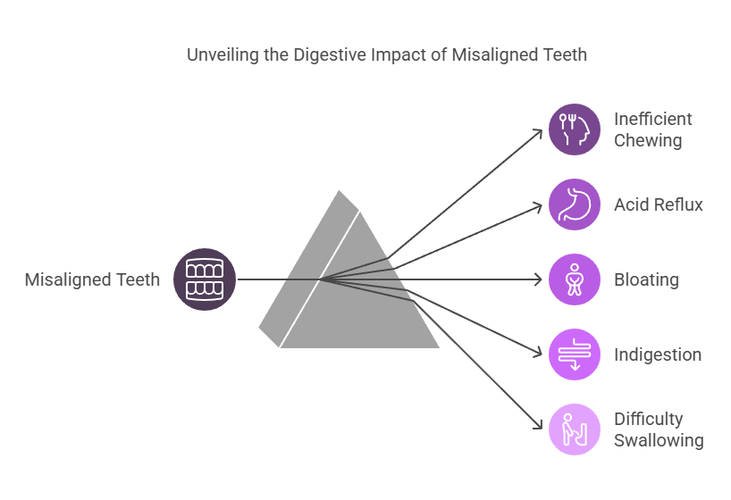 androsorthodontics.com Digestive impact of Misaligned Teeth