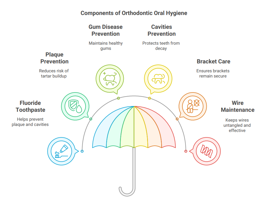 AndrosOrthodontics; proper oral hygiene umbrella