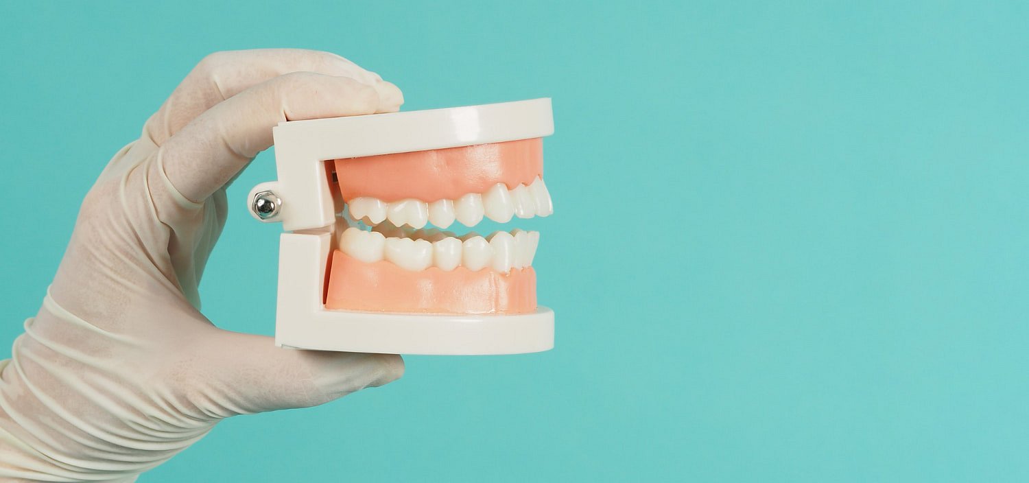 A gloved hand displays a dental model of teeth and gums against a blue background, showcasing how clear braces from Andros Orthodontics in Pasco, WA provide a discreet way to achieve straighter smiles.